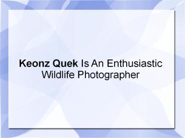 Keonz Quek Is An Enthusiastic Wildlife Photographer