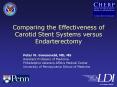 Comparing the Effectiveness of Carotid Stent Systems versus Endarterectomy PowerPoint PPT Presentation