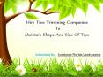 Hire Tree Trimming Companies To Maintain Shape And Size Of Tree PowerPoint PPT Presentation