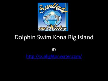 Dolphin Swim Kona Big Island