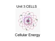 Unit 3:CELLS