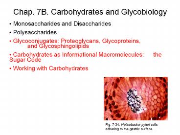 Lehninger Principles of Biochemistry