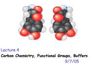 Carbon Chemistry, Functional Groups, Buffers