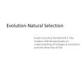 Evolution-Natural%20Selection PowerPoint PPT Presentation
