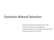 Evolution-Natural%20Selection