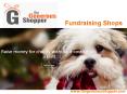 Online Fundraising Shops PowerPoint PPT Presentation