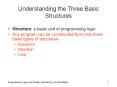 Understanding the Three Basic Structures PowerPoint PPT Presentation