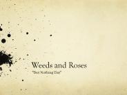 Weeds and Roses