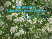 Introduction to Regge theory and soft Pomeron