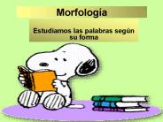 Morfolog