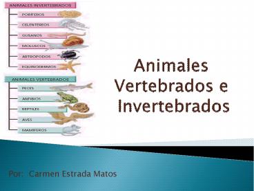 Animales Vertebrados e Invertebrados