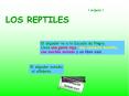 Los reptiles PowerPoint PPT Presentation