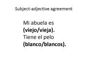 Subject-adjective agreement