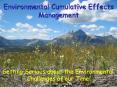 Environmental Cumulative Effects Management PowerPoint PPT Presentation