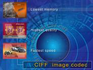 CIFFNGIS.ppt
