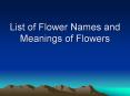 List of Flower Names and Meanings of Flowers PowerPoint PPT Presentation