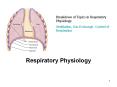 Respiratory Physiology PowerPoint PPT Presentation