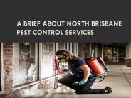 A brief about North Brisbane Pest Control Services