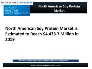 North America Soy Protein Market