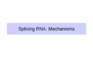 Splicing%20RNA:%20Mechanisms