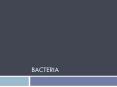 BACTERIA PowerPoint PPT Presentation