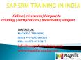 sap srm online training in delhi PowerPoint PPT Presentation
