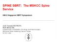 SPINE SBRT: The MSKCC Spine Service IAEA Singapore SBRT Symposium PowerPoint PPT Presentation