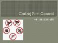 Godrej Pest Control