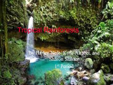 Tropical Rainforests