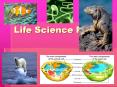 Life Science Review PowerPoint PPT Presentation