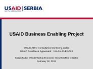 USAID Business Enabling Project