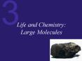 Life and Chemistry: Large Molecules PowerPoint PPT Presentation