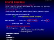Prezentace aplikace PowerPoint