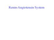 Renin-Angiotensin%20System