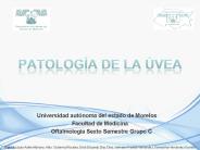 Patolog
