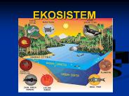 EKOSISTEM