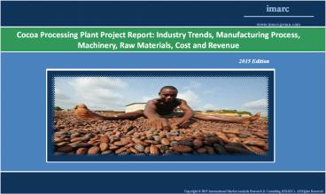 Cocoa Processing Plant | Market Trends, Cost