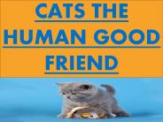 Cats The Human Good Friend