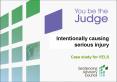 You be the Judge VELS Intentionally Causing Serious Injury Slides PowerPoint PPT Presentation