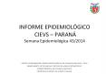 INFORME EPIDEMIOL PowerPoint PPT Presentation