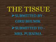 the tissue by girij