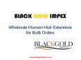 Wholesale Human Hair Extensions