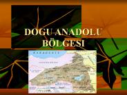 DOGU ANADOLU B