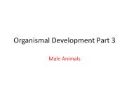 Organismal Development Part 3
