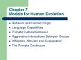 Chapter 7 Models for Human Evolution PowerPoint PPT Presentation