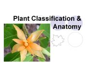 Plant Classification