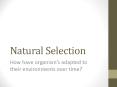 Natural Selection PowerPoint PPT Presentation