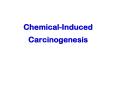 Chemical-Induced Carcinogenesis PowerPoint PPT Presentation