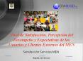 Nivel de Satisfacci PowerPoint PPT Presentation
