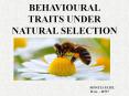 BEHAVIOURAL TRAITS UNDER NATURAL SELECTION PowerPoint PPT Presentation